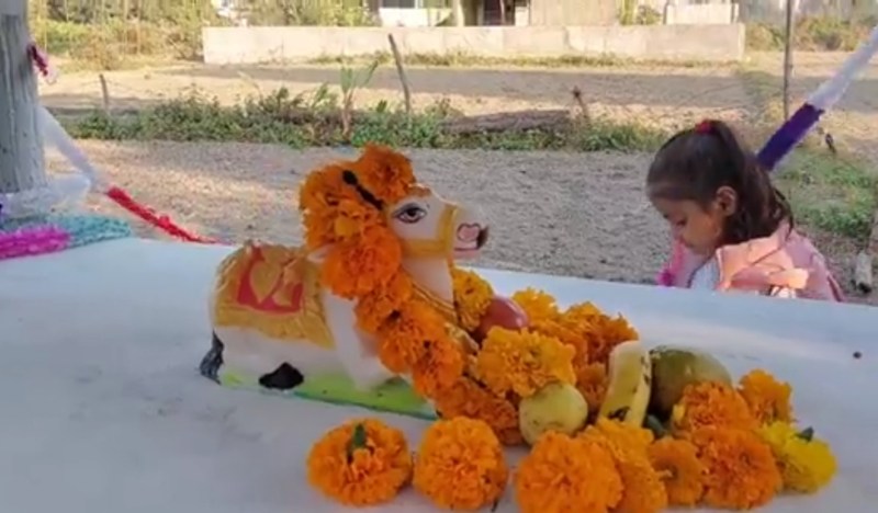 अयोध्या में अद्भुत कामधेनु गाय बिना गर्भवती हुए देती थी दूध