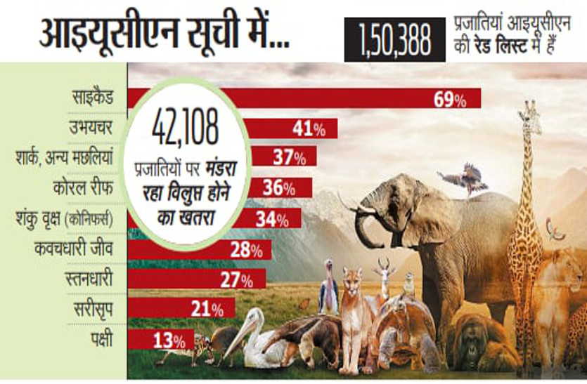 सदी के अंत तक धरती से हो जाएगा 27 फीसदी जैव विविधता का सफाया