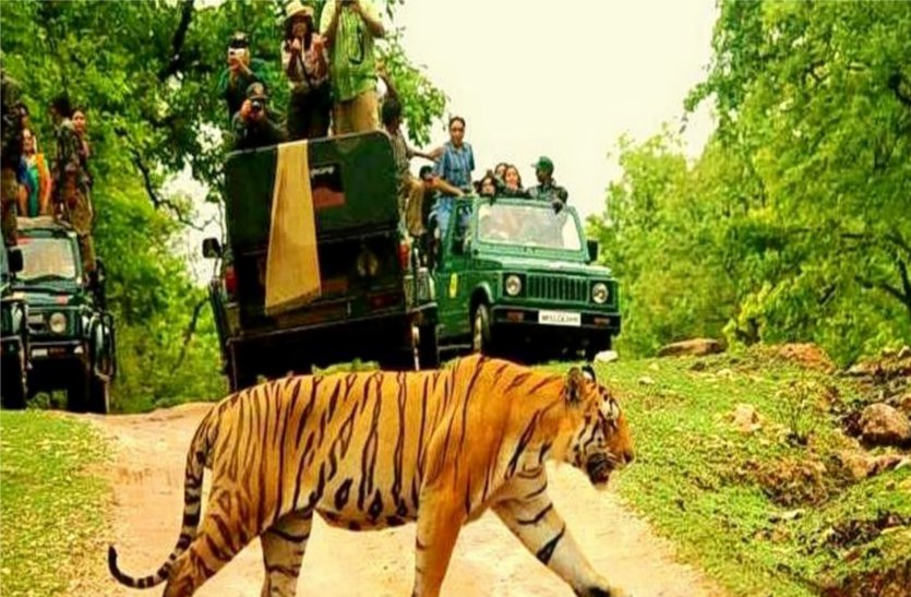 ratapani1.jpg