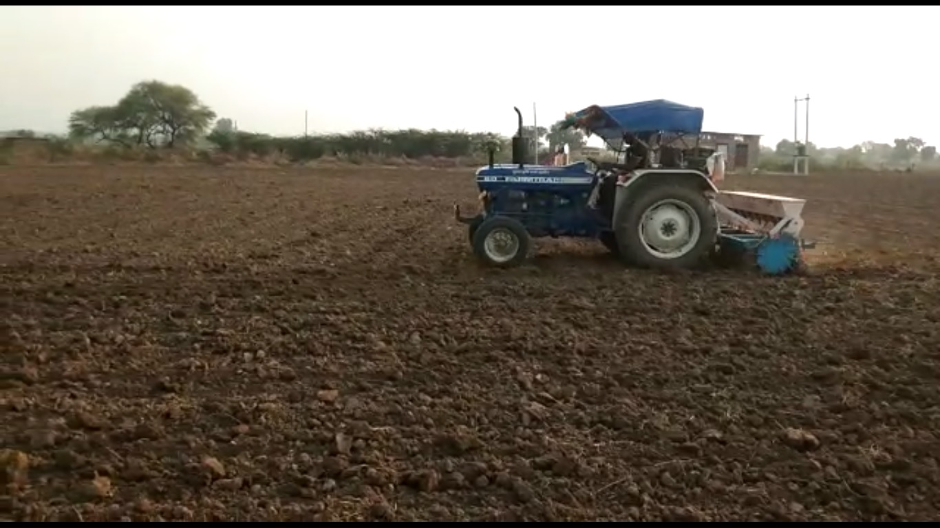 बारां की मिट्टी में गुणवत्ता का गेहूं, देशभर में डिमांड