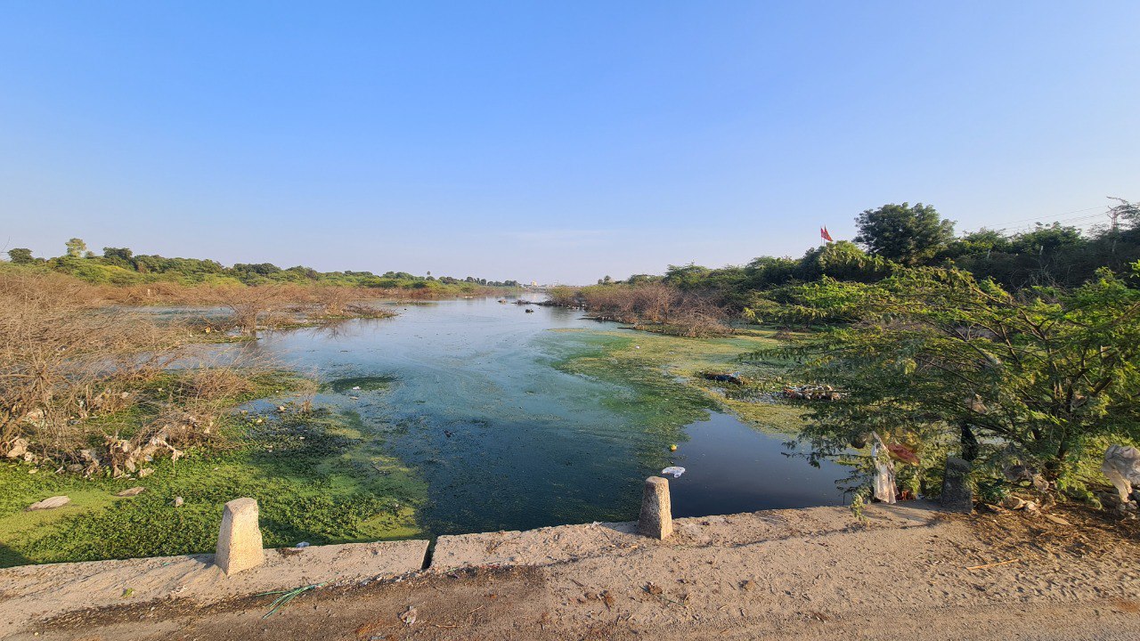 कोठारी नदी में सवा लाख पौधे लगाने के लिए हुए टेंडर : न्यास ने लगाई शर्त, ग्रोथ के अनुसार ही होगा ठेकेदार को भुगतान