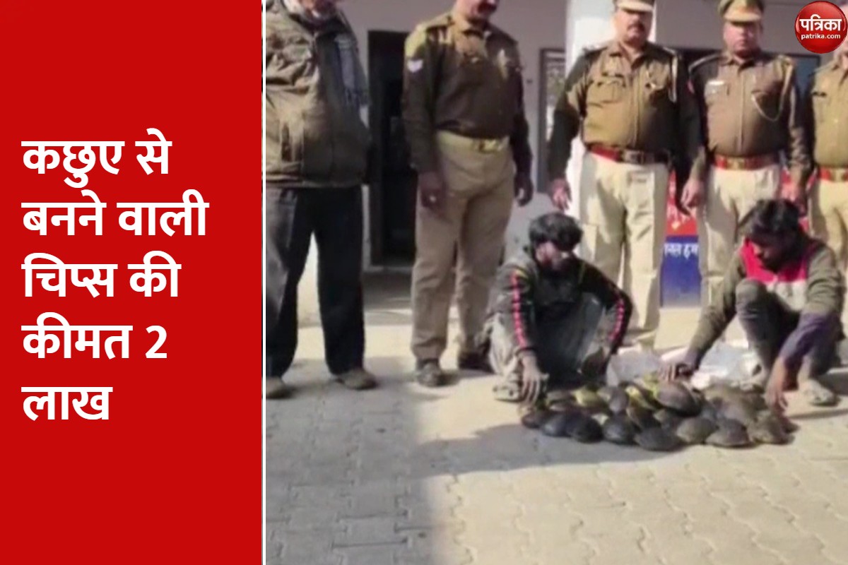 दुर्लभ प्रजाति के 44 कछुए बरामद