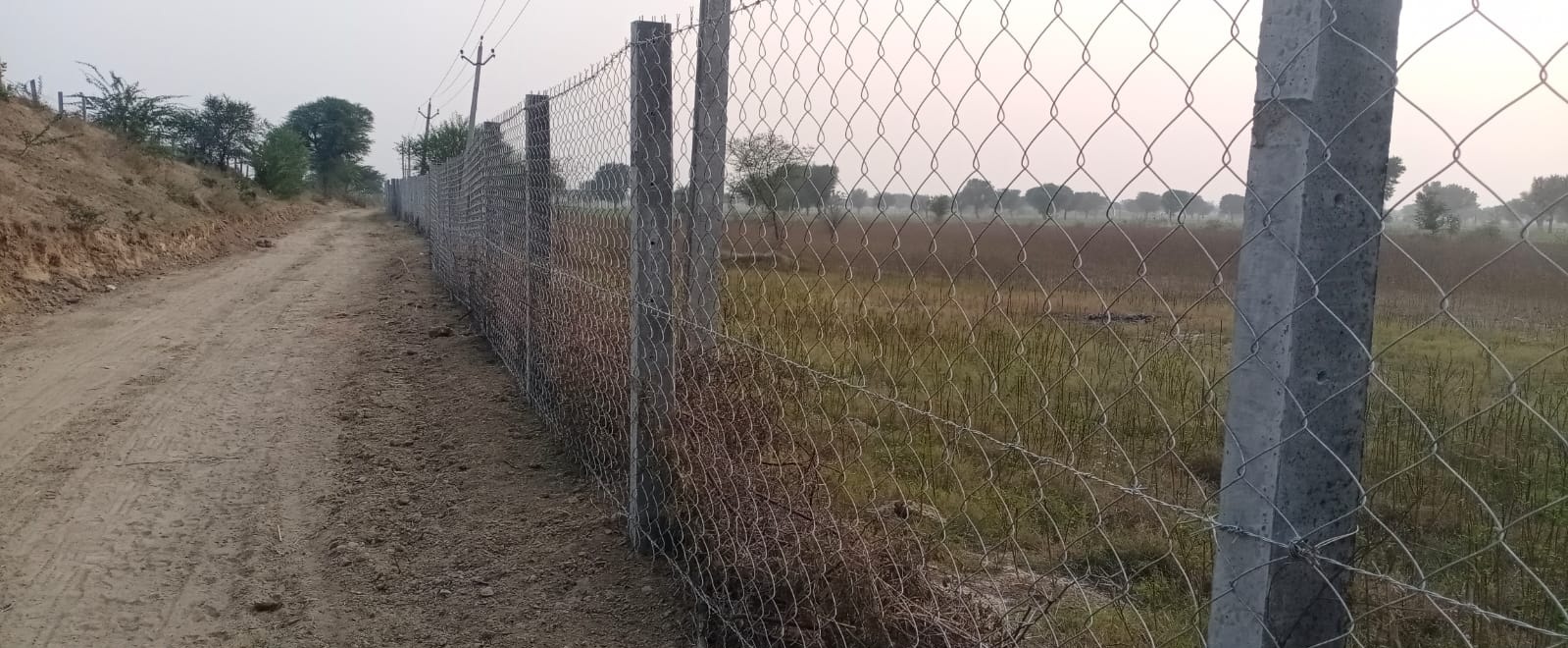 किसानों की पहल : पन्द्रह सौ बीघा जमीन पर सामूहिक रूप से की तारबंदी