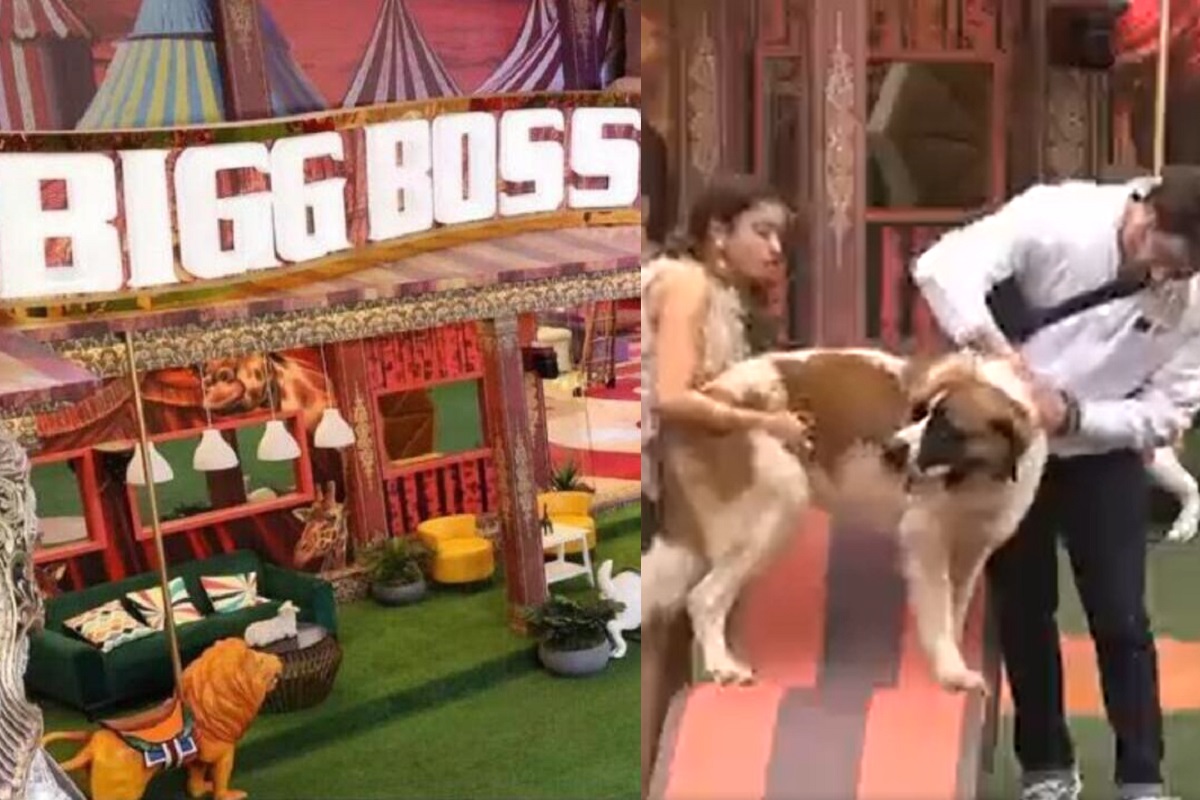 Bigg Boss 16 New Wild Card Entry Twist, Housemates welcomes Dog Maheen in controversial house