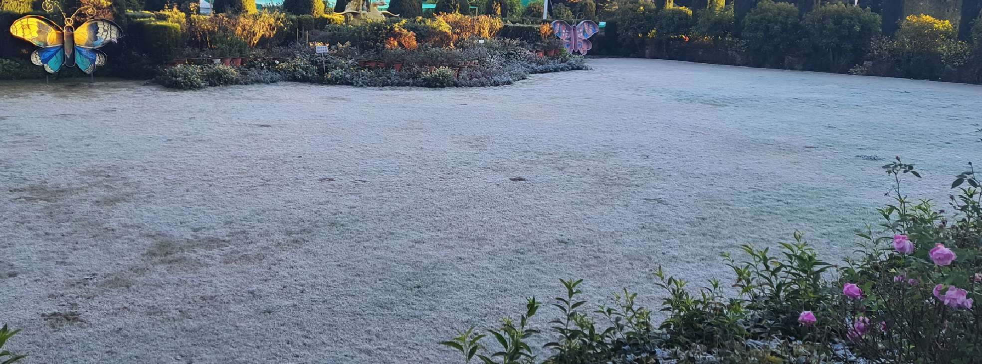 PHOTO STORY: राजस्थान का हिल स्टेशन शीतलहर की चपेट में, चहुंओर बिछी बर्फ की
चादर, देखें तस्वीरें…