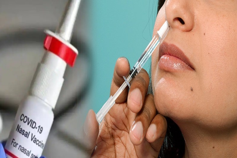 Covid Nasal Vaccine