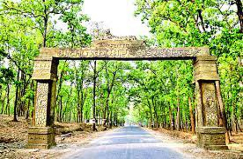 CG News : 4 IFS अधिकारियों की नई पोस्टिंग, दिनेश कुमार पटेल को मिली अचानकमार अमरकंटक बायोस्फियर रिजर्व, बिलासपुर की जिम्मेदारी