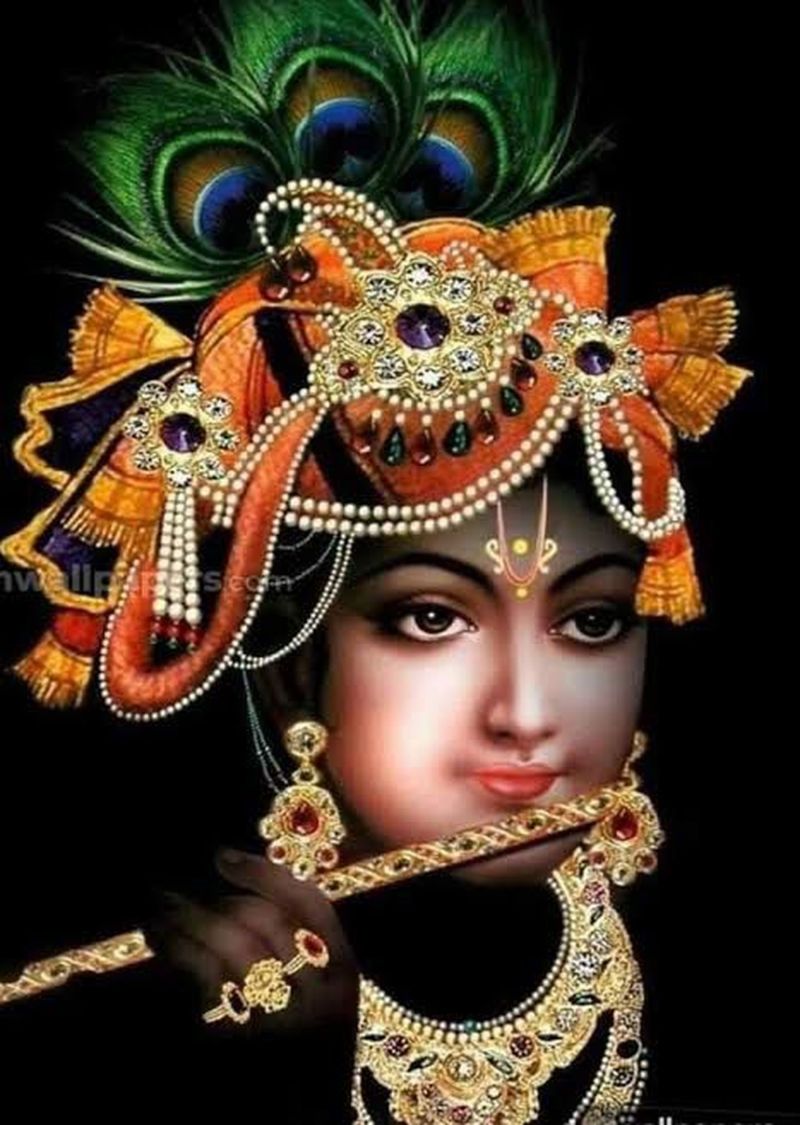 SURAT NEWS: म्हारा श्यामधणी सरकार, थारी करा मैं जय-जयकार