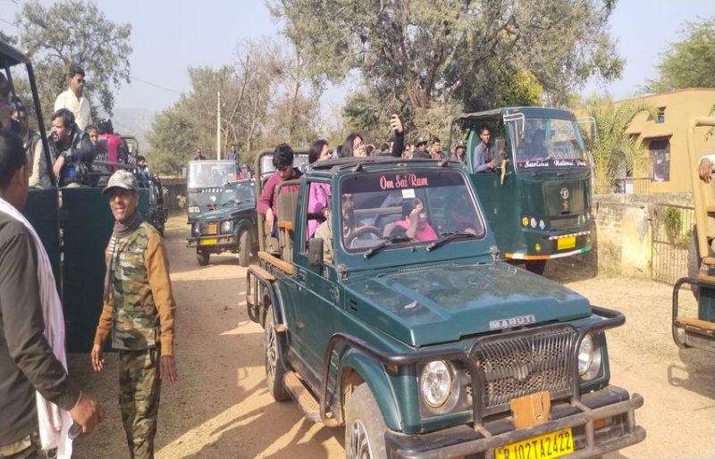 नववर्ष की पूर्व संध्या पर पर्यटकों से गुलजार रहा सरिस्का