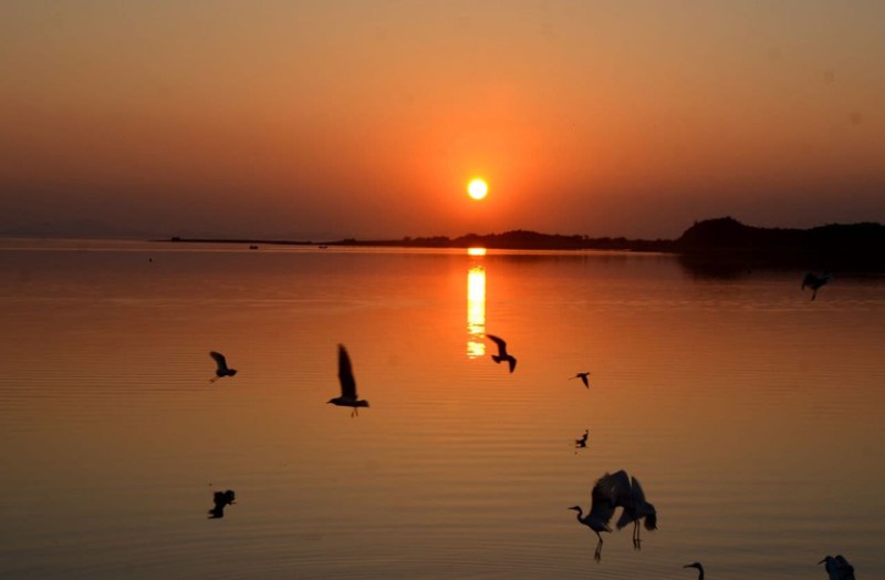 उत्साह, उम्मीद के साथ नए साल 2023 का स्वागत