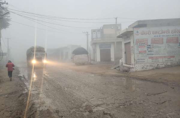 Patrika Photo Gallery: The sun was also lazy in the dense fog, dew dr
