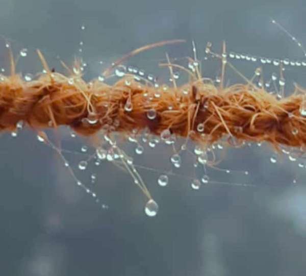 छाया कोहरा सर्दी से बचने के लिए अलाव का सहारा...देखिए तस्वीरें