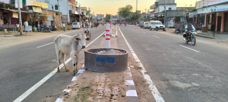 अनदेखी: आवारा पशु बने दुर्घटना के सबब, प्रशासन का नहीं कोई ध्यान