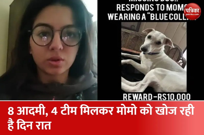 सुयुक्ति सेठ व उनका गायब कुत्ता मोमो जिसकी हो रही तलाश