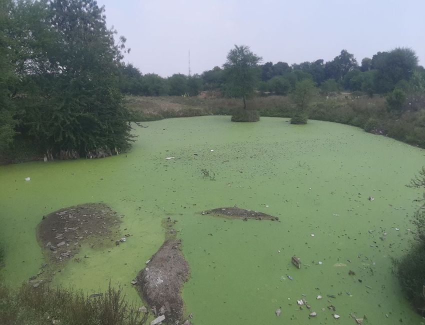 परिषद पर लगा भ्रष्टाचार का आरोपए रक्षा मंत्रालय से हुई शिकायत