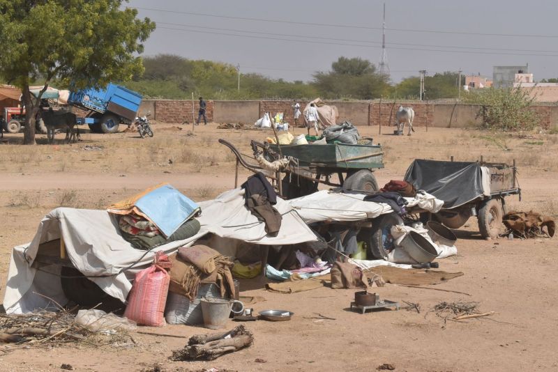 रामदेव पशुमेला