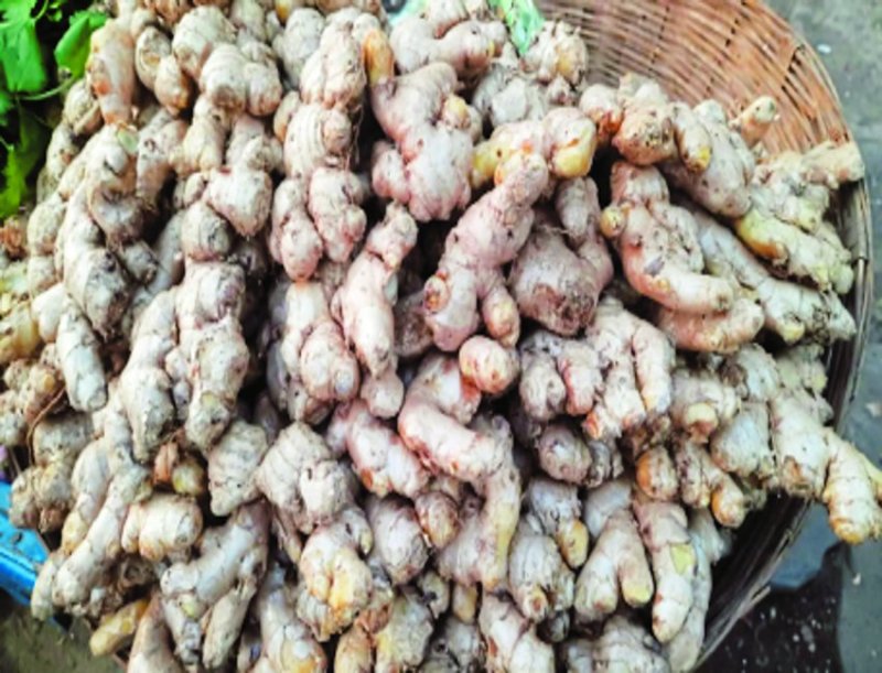 Regular consumption of ginger, garlic and cinnamon prevents many diseases