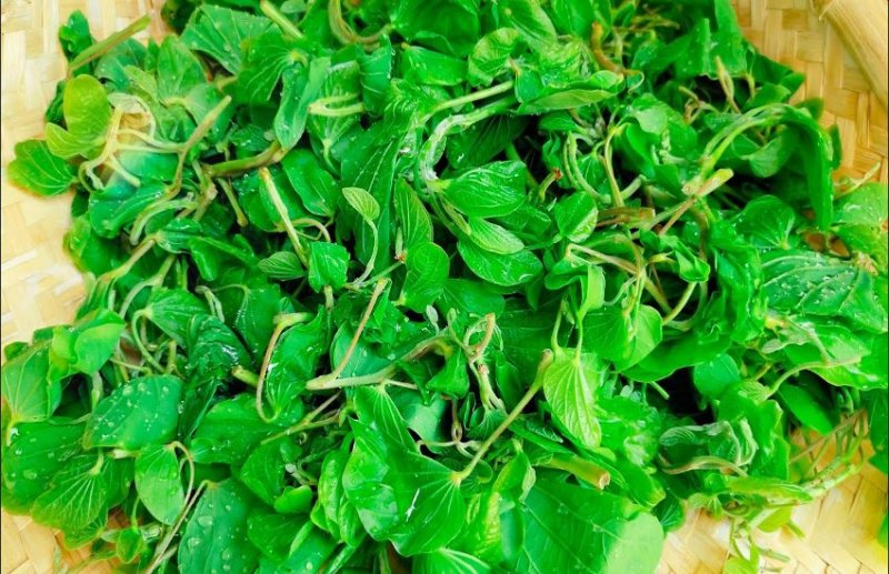 कोलियारी भाजी