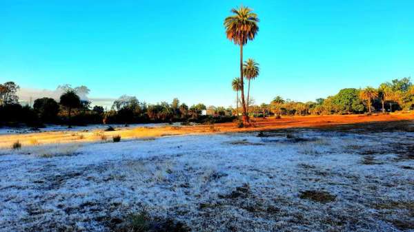 pachmarhi today temperature