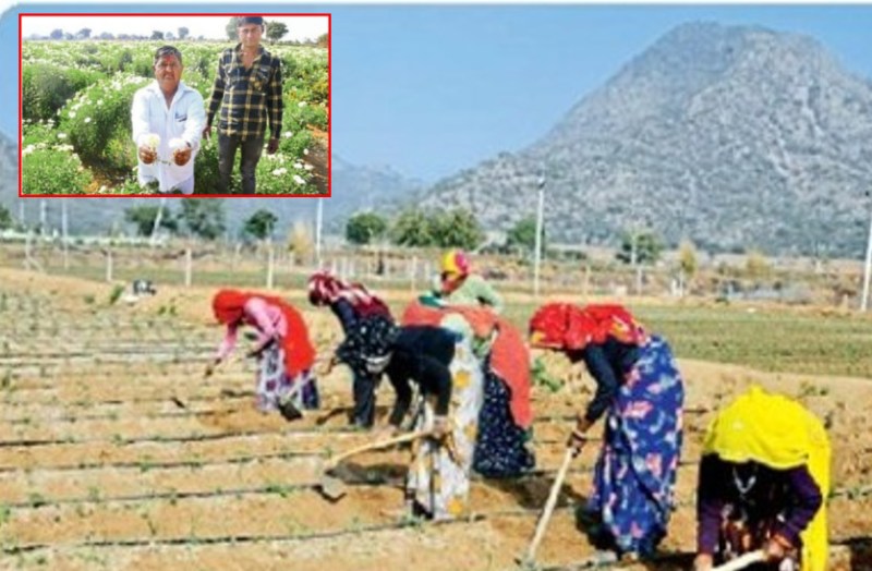 Ajmer Farmer: 40 workers are getting employment in farmer field