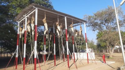 Short video poster image