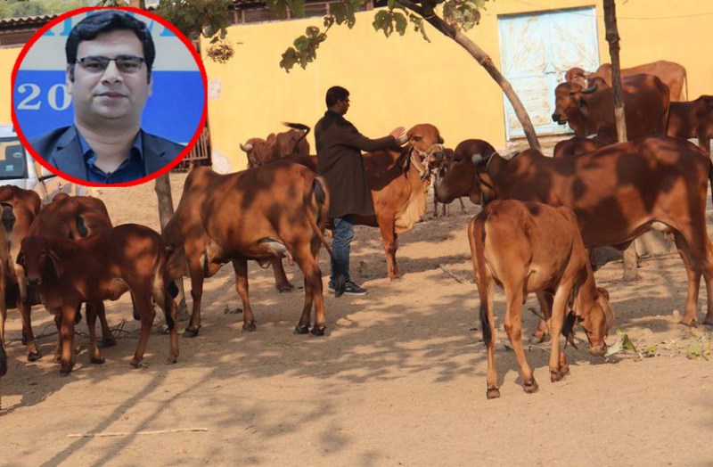 success story of IIT graduate Rohit Trivedi who building a hi-tech dai