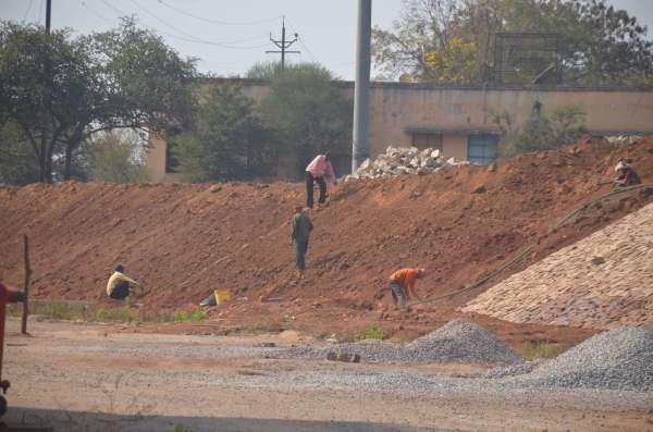 Cricket news: रायपुर में भारत-न्यूजीलैंड वनडे मैच की तैयारी जोरों पर