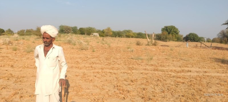 229 करोड़ बढ़ा बाड़मेर फसल बीमा का मुआवजा,अब 540 करोड़