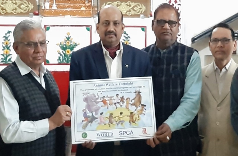 पशु कल्याण की मुहिम से जुड़ेंगे विद्यार्थी: सक्सेना