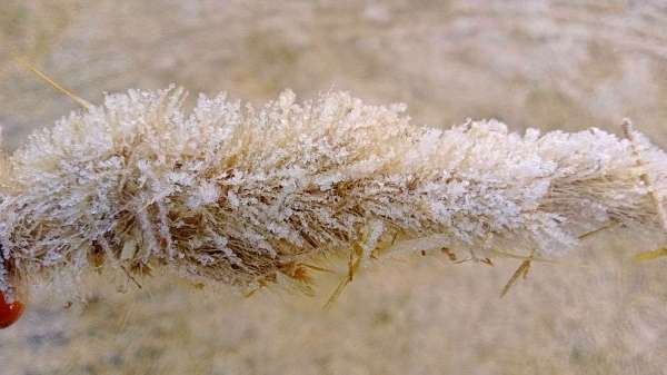 bundi-news-bundi-rajasthan-news-bundi-rajesthan-patrika-news-layer-of