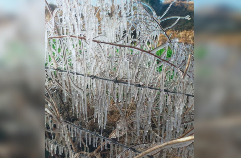 Rajasthan Weather update: lowest temperature today 15 jan in rajasthan