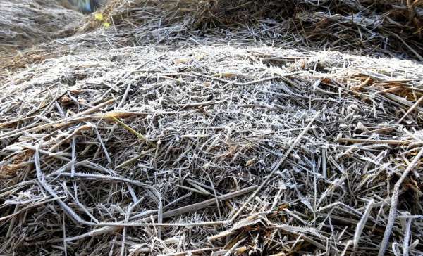 Bundi News, Bundi Rajasthan News,Bundi Rajesthan patrika news,Freezing