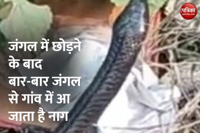 Short video poster image