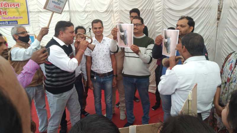 दूसरे दिन भैंस के आगे बीन बजाकर संविदाकर्मियों ने किया प्रदर्शन