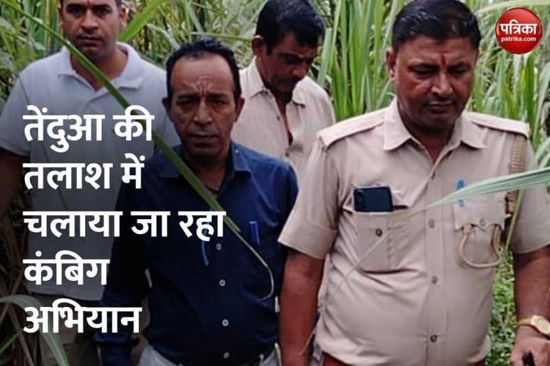 तेंदुआ की दहशत, घरों से नहीं निकल रहे लोग, लाठी-डंडे के साथ दे रहे पहरा