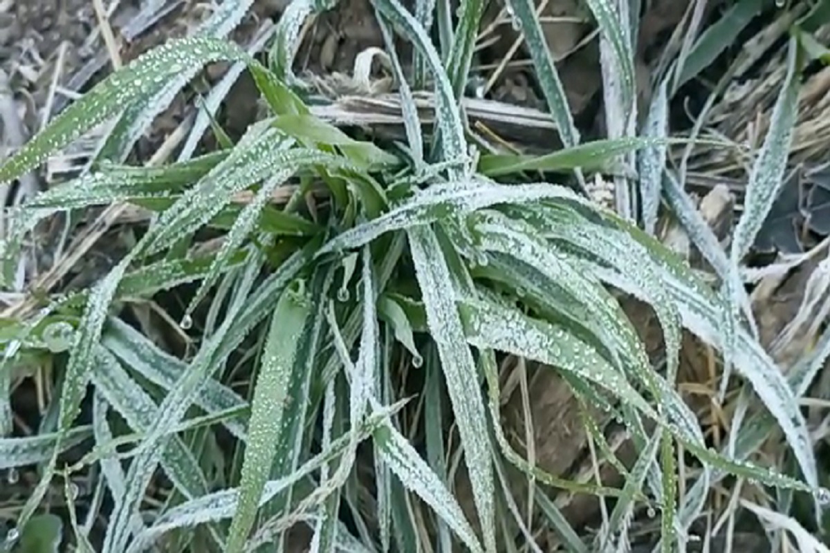 राजस्थान में कड़ाके की सर्दी, बर्तनों में रखा पानी जमा, अगले दो दिन बढ़ेगी सर्दी