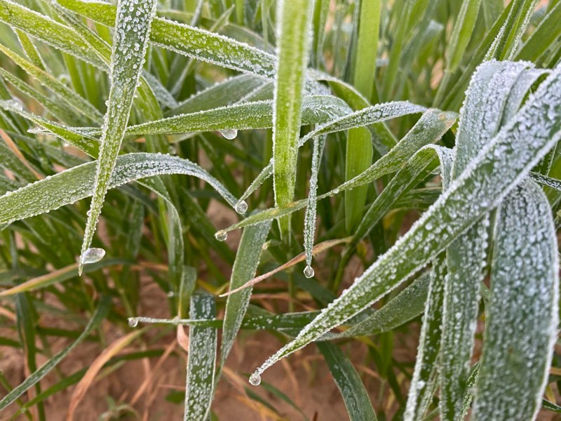 सर्दी से राहत की उम्मीद, बढ़ेगा न्यूनतम तापमान