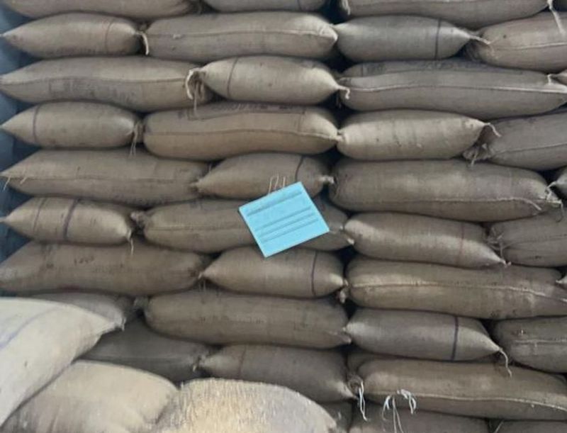 गेहूं के भाव में उछाल से व्यापारियों को फायदा, आमजन की जेब पर भार