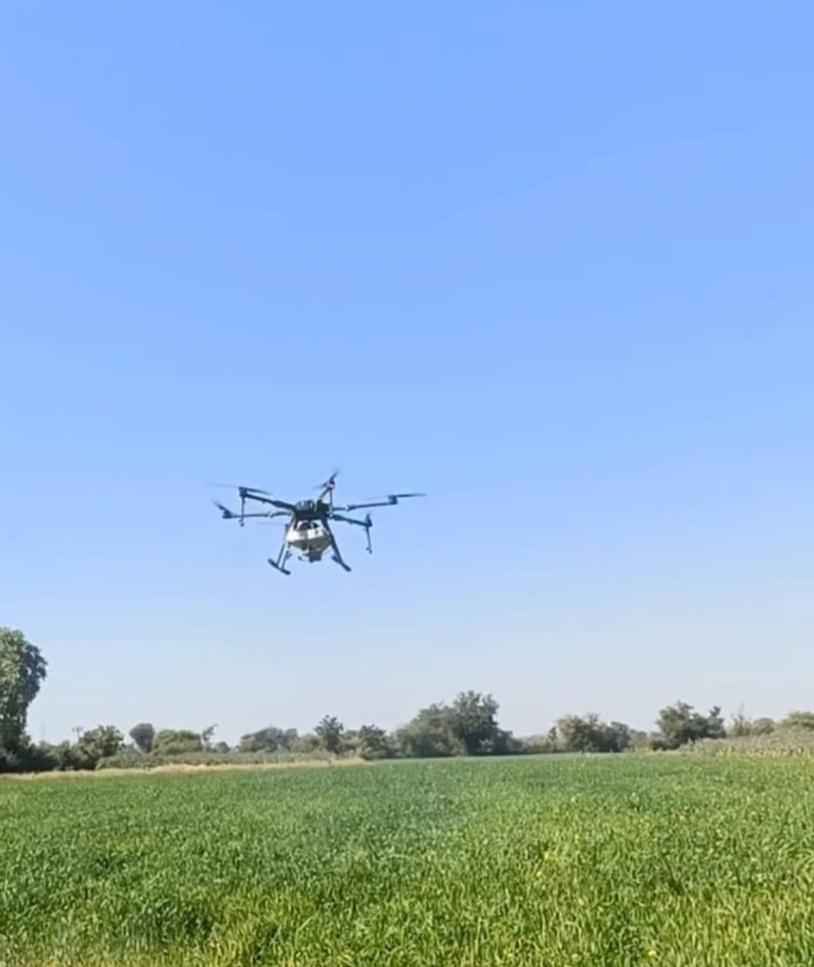 किसान के खेत में ड्रोन तकनीक से नैनो यूरिया का छिड़काव किया तो देखने के लिए उमड़े लोग