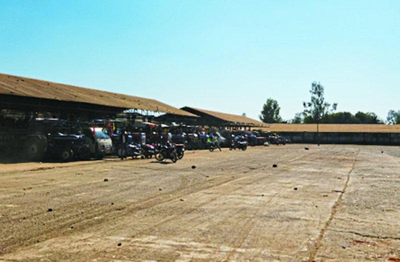 बम्पर पैदावार के बावजूद पूरे सीजन में अधिकतम 20 हजार क्विंटल भी एक दिन में नहीं पहुंच पाई है।