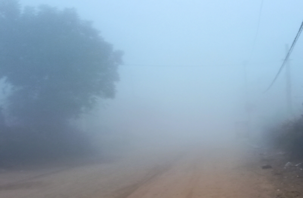 Patrika Photo Gallery- Due to fog, the procession had to be stopped, a