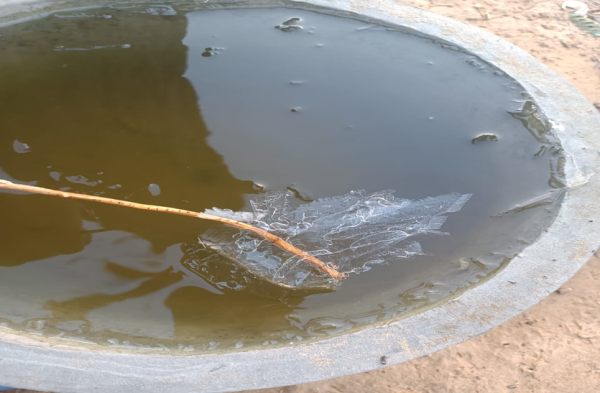 Patrika Photo Gallery- Due to fog, the procession had to be stopped, a