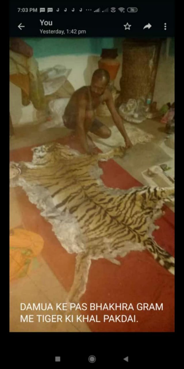 असीरगढ़ किले के पास बारिश के समय हुआ था बाघ का शिकार