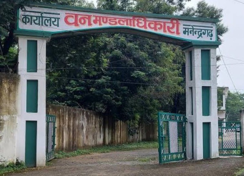 CG forest: कैंपा नरवा विकास में 22.10 लाख का फर्जीवाड़ा, वनरक्षक निलंबित, रिटायर्ड रेंजर की पेंशन रुकेगी