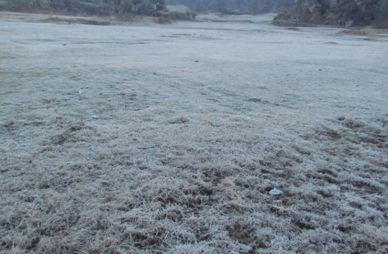 rajasthan weather news: weather forecast in rajasthan