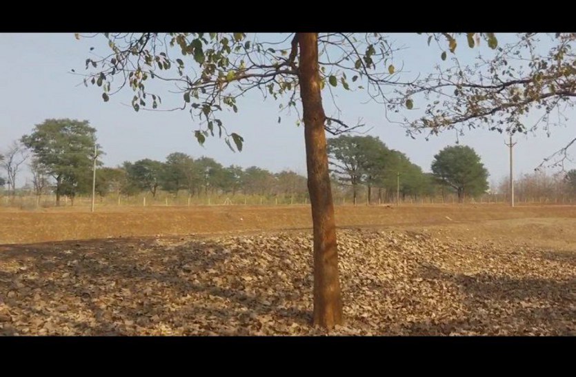 बसंत का मौसम आया रायपुर जिसमें बिलासपुर, जगलदलपुर और पारा 32 के पार