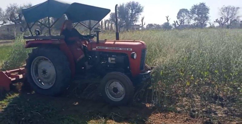 Story With Video: मौसम की मार से दो किसान बहनों के सपने हुए चकनाचूर, चिंता कैसे होगी बेटियों की शादी