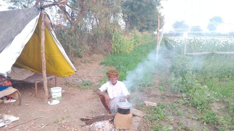 काले सोने की रखवाली में छूटे घर, खेत बने आशियाना