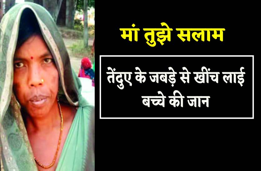 तेंदुए के जबड़े से खींच लाई बच्चे की जान मां