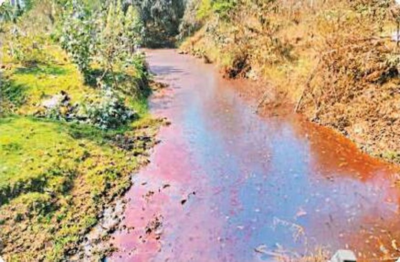 भिलाई : हथखोज की फैक्ट्रियां केमिकल युक्त पानी को बिना ट्रीटमेंट के बहा रहे नहर में जहरीला पानी , 11 गांवों को बना रहा बीमार